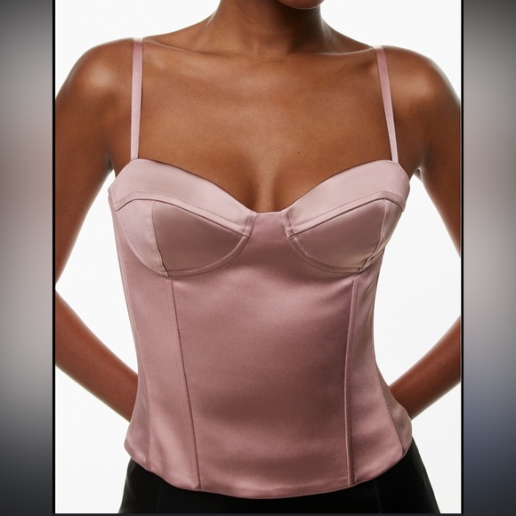 Wilfred Tops - Aritzia Wilfred Dazzle Satin Bustier Top in Mauve Size 0